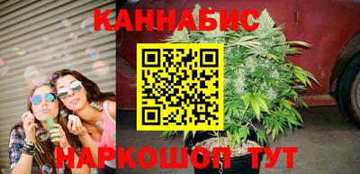 сатива Кандалакша