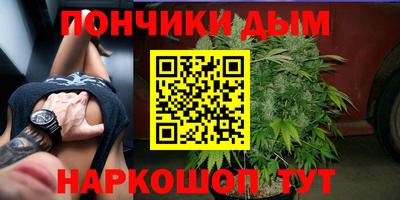 сатива Кандалакша