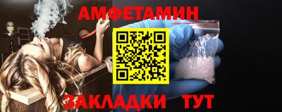 сатива Кандалакша