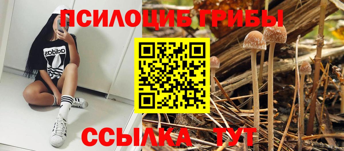Псилоцибиновые грибы GOLDEN TEACHER  Вход с VPN  Кызыл 