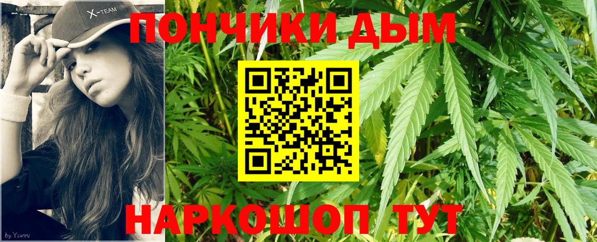 Бошки марихуана семена  Бошки марихуана OG Kush  Вход с VPN  Кызыл  Марихуана тримм 